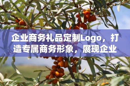 企业商务礼品定制Logo，打造专属商务形象，展现企业独特风采